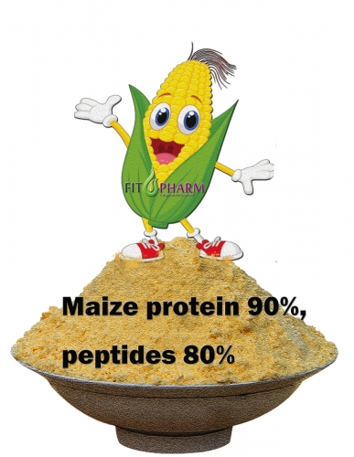 Maize Protein Powder